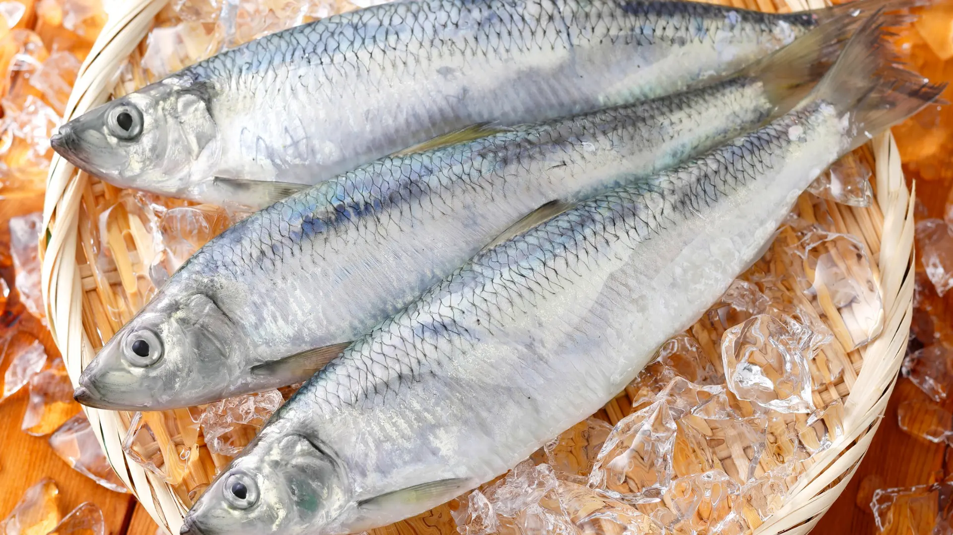 poisson frais approvisionner recette